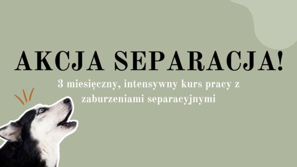 Akcja Separacja! to wyjątkowy kurs online, który stworzyłam z myślą o opiekunach psów zmagających się z zaburzeniami separacyjnymi