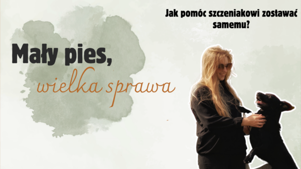 Mini-kurs dla opiekunów szczeniąt - Mały pies, wielka sprawa